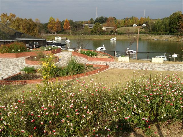 「ハーベストの丘」ボート池