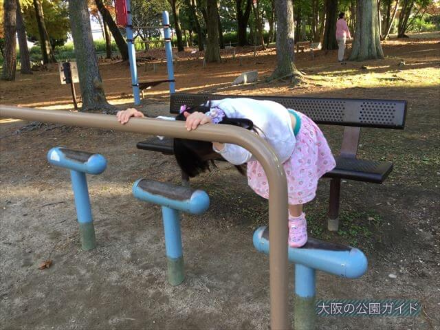 万博記念公園「やったねの木」健康器具