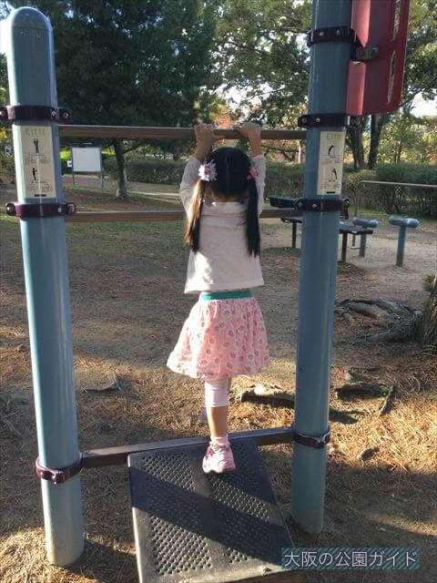 万博記念公園「やったねの木」健康器具