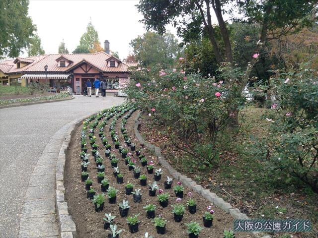 「ハーベストの丘」園内の様子・ガーデン