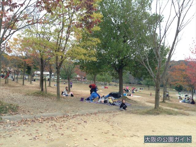 「ハーベストの丘」芝生広場