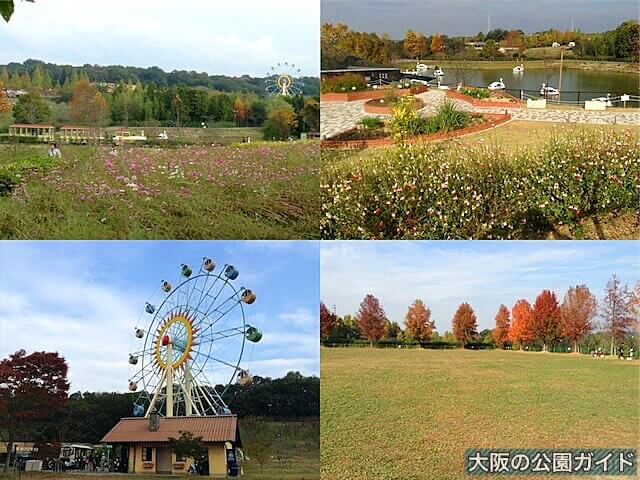 ハーベストの丘