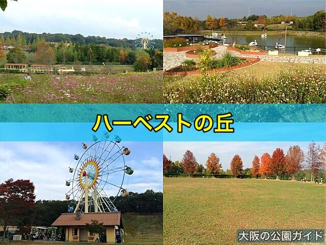 ハーベストの丘