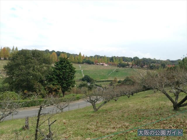 「ハーベストの丘」村のエリア