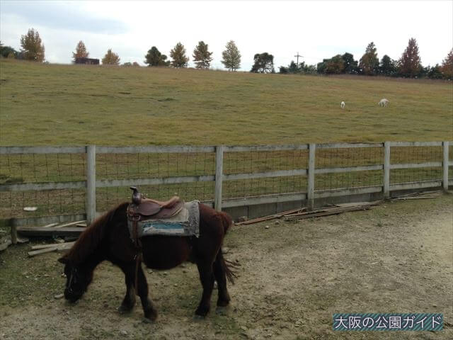 「ロバ小屋」・羊の「風の丘 放牧場」