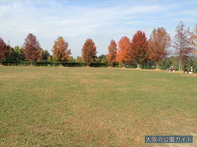 「ハーベストの丘」村のエリアの芝生広場