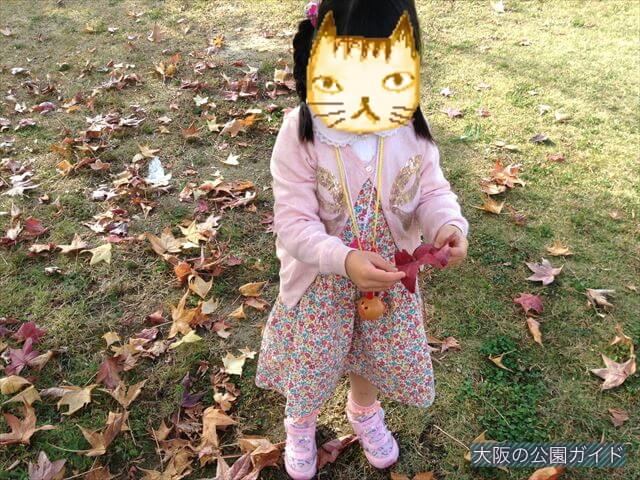 「ハーベストの丘」村のエリアの芝生広場