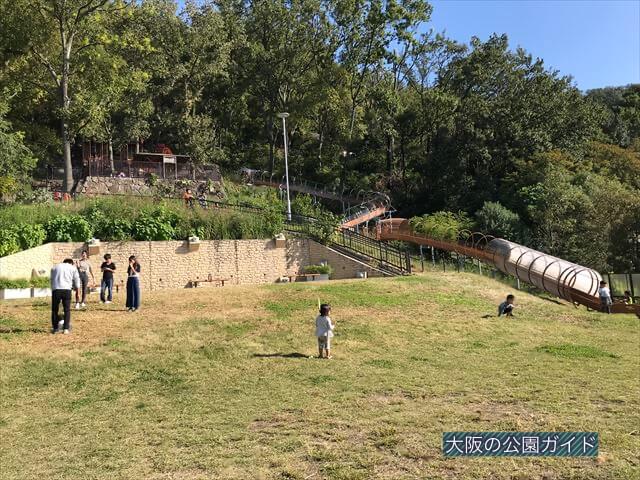 枚岡公園「みんなの広場」にある芝生