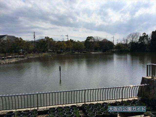 枚方市民の森「鏡伝池緑地」池