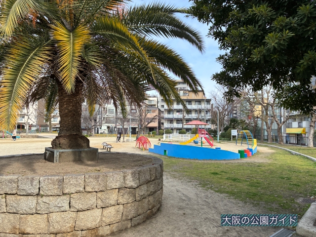 「城南公園」ソテツの木と遊具