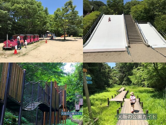 府民の森「むろいけ園地」