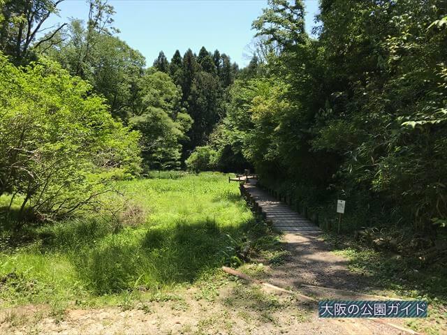 むろいけ園地、水辺自然公園をハイキング、湿生花園