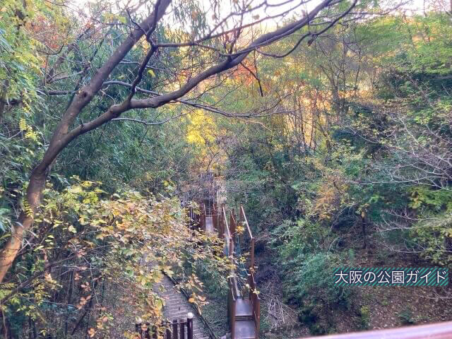 むろいけ園地の遊具「森の宝島」アスレチック