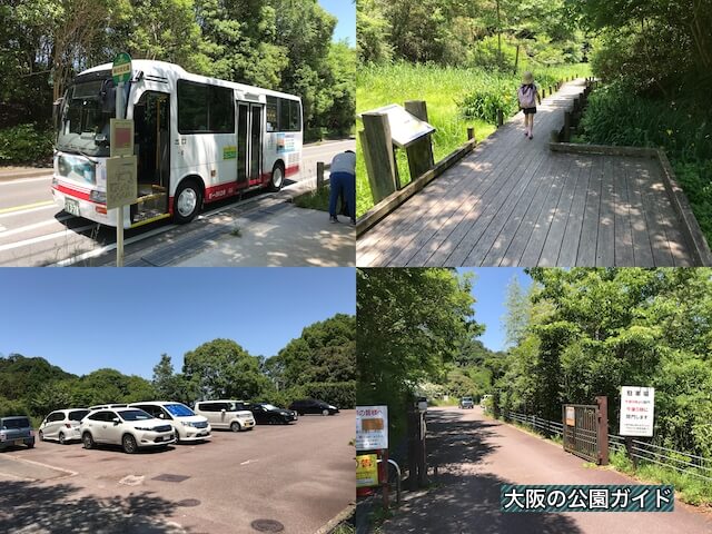 むろいけ園地緑の文化園の行き方（アクセス）・駐車場