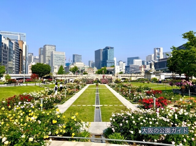 中之島公園バラ園