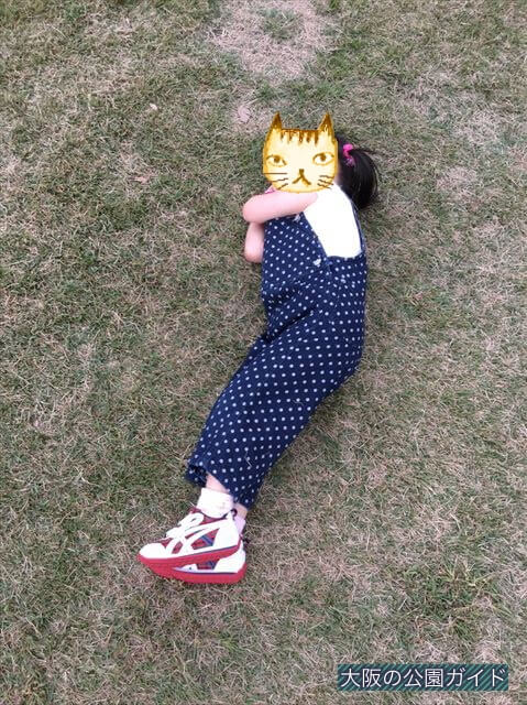 中之島公園芝生広場に寝転んで遊ぶ様子