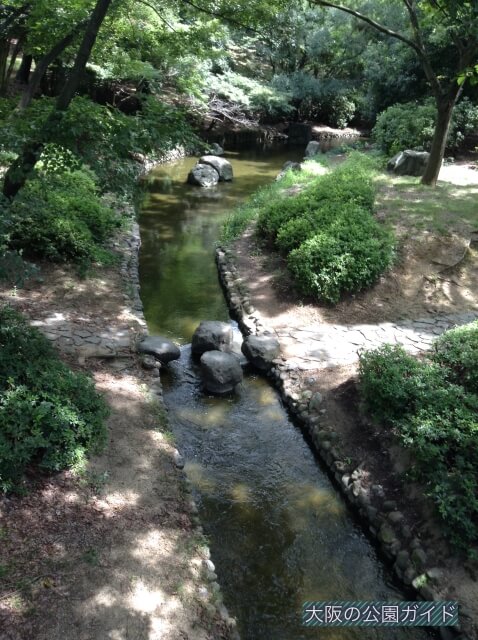 大泉緑地・水辺