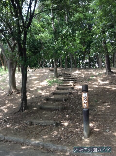 大泉緑地・樹のみち