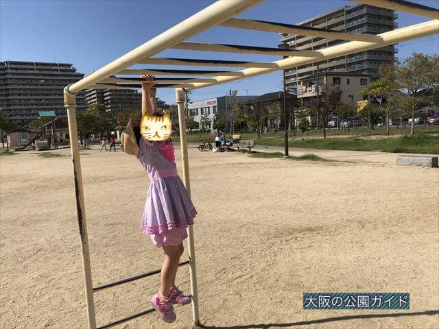 鳳公園の複合遊具「雲梯」