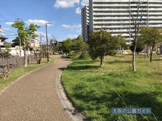 鳳公園の遊歩道