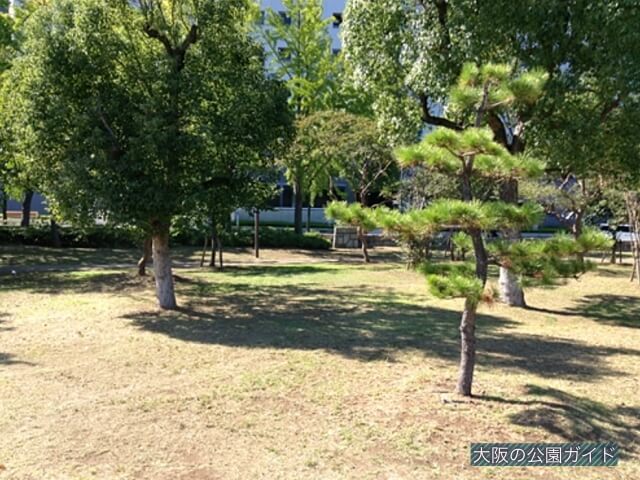 大阪城大手前の芝生広場