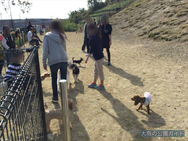 「彩都なないろ公園」ドッグラン