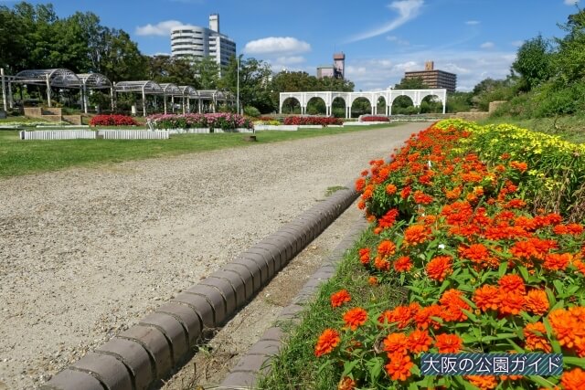 住之江公園「花と緑のスクエア」