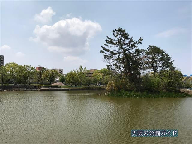 城北公園の池