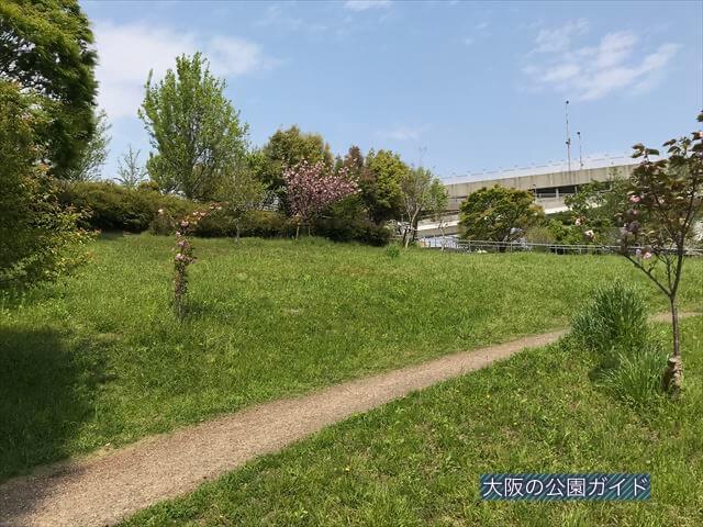 城北公園、淀川に行ける丘
