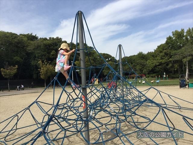「住之江公園」縄型ジャングルジムで一番上まで上っている様子