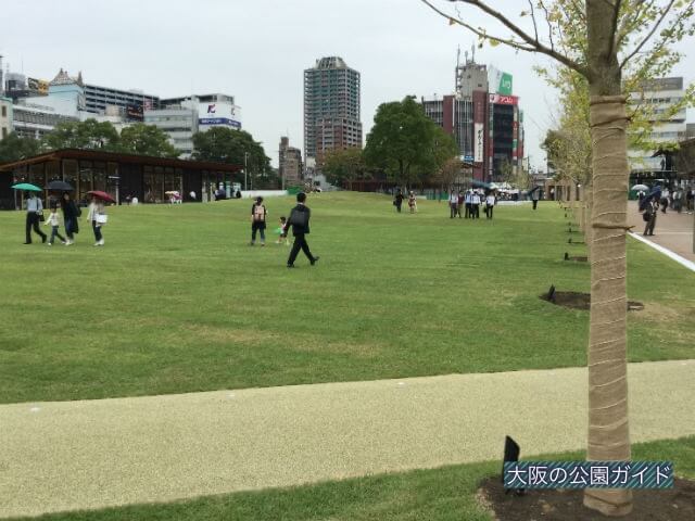天王寺公園「てんしば」の芝生広場