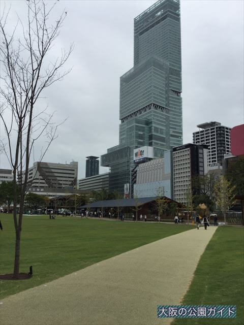 天王寺公園「てんしば」の芝生広場とあべのハルカス