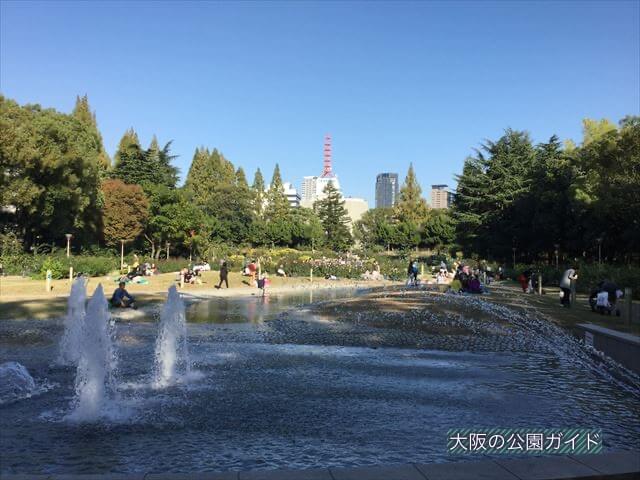 靭公園のバラ園と池