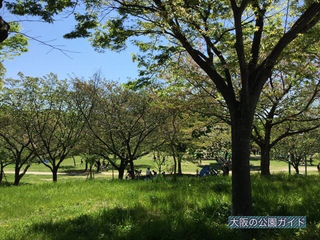 「八幡屋公園」芝生広場で休憩