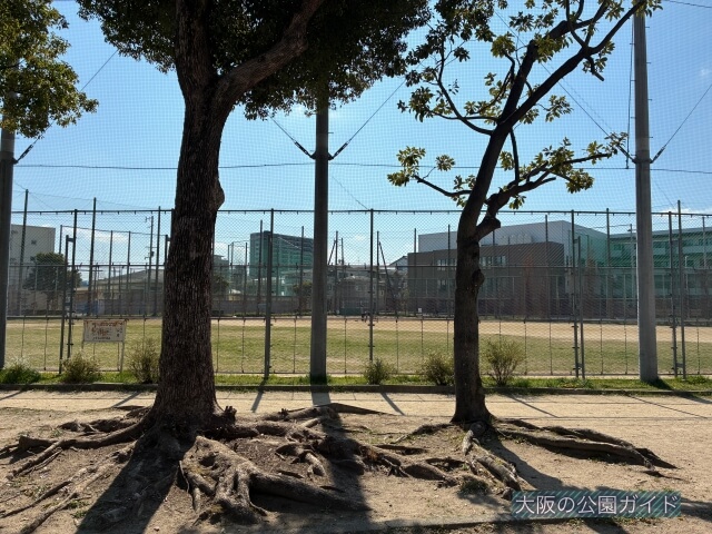「東中本公園」グラウンド(野球場/運動場)