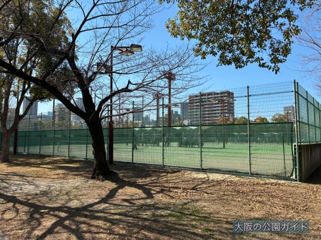 真田山公園「テニスコート（だいしん真田山テニスの森）」