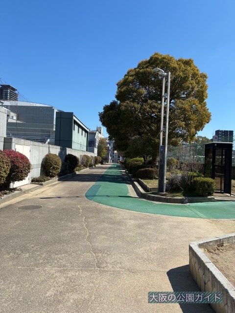 真田山公園「ジョギングコースのレーン」