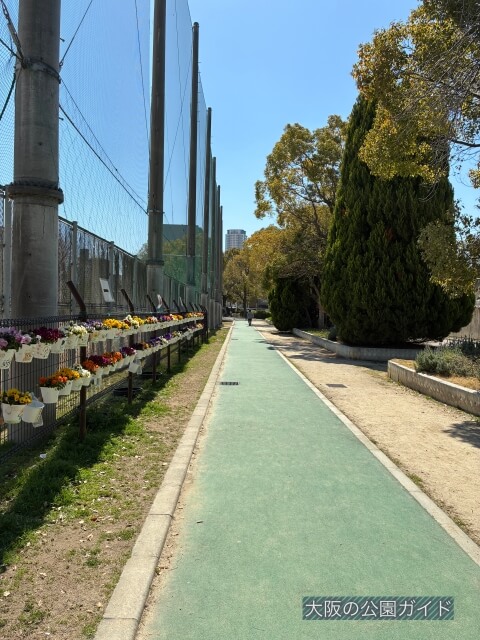 真田山公園「ジョギングコースのレーン」