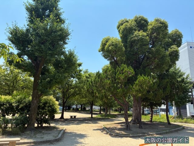 「南中本公園」たくさんの木